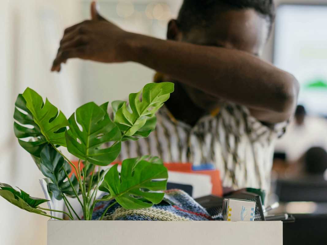 Recover From Layoffs in Fast-Paced Job Markets